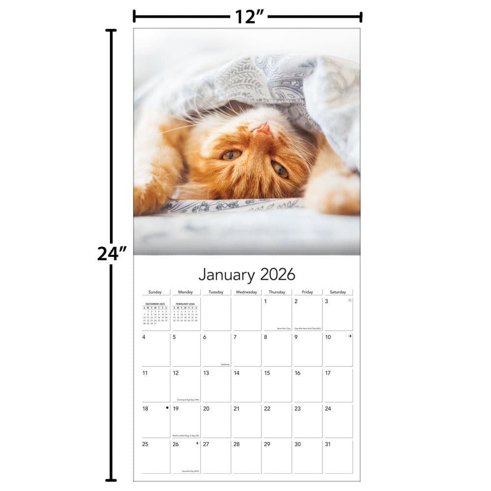 Cats Photo 2026 Wall Calendar_ALT5