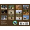 image Elk 2025 Wall Calendar