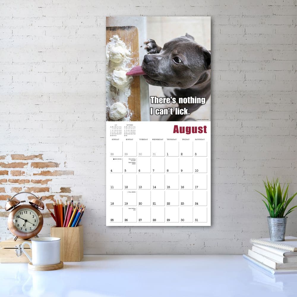 Mutt Memes 2025 Wall Calendar