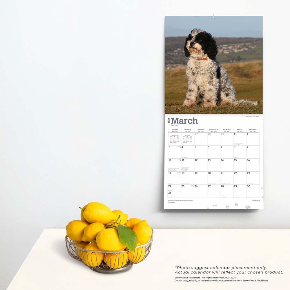 Cavapoos 2024 Wall Calendar