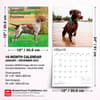 image German Shorthaired Pointers 2027 Wall Calendar Sixth Alternate Image
