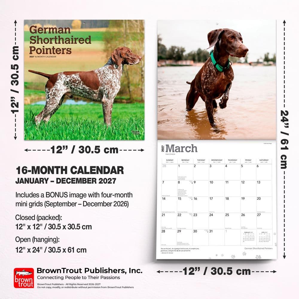 German Shorthaired Pointers 2027 Wall Calendar Sixth Alternate Image