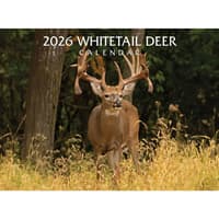 image Whitetail Deer 2026 Wall Calendar Main Product Image