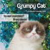 image Grumpy Cat 2025 Mini Wall Calendar  Main Image