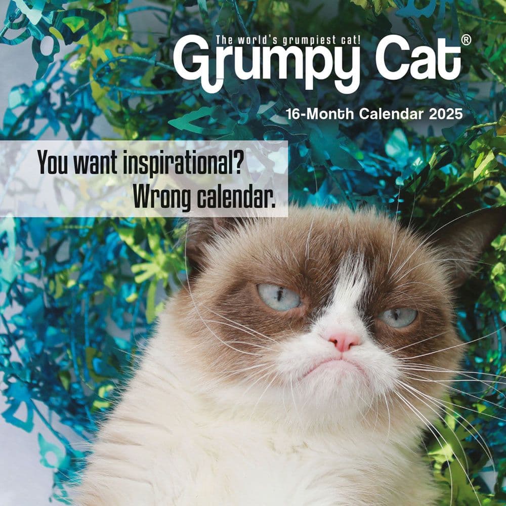 Grumpy Cat 2025 Mini Wall Calendar  Main Image