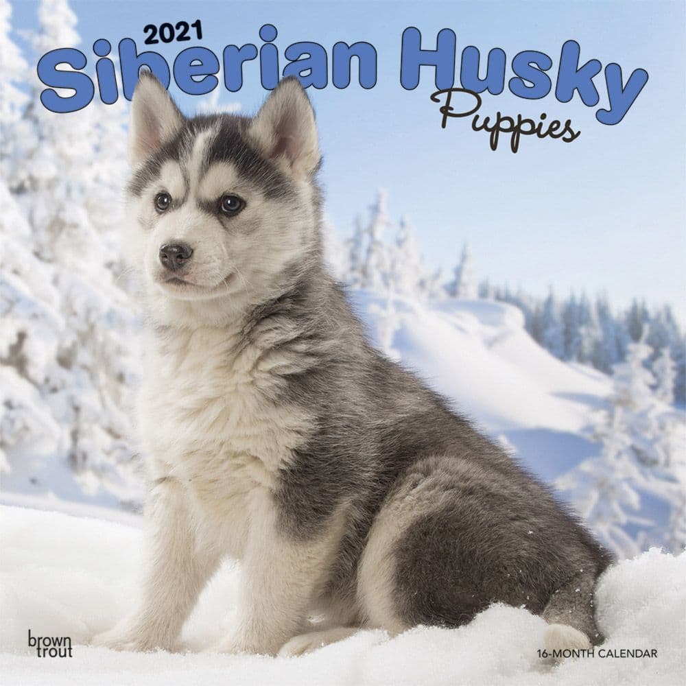 Husky stickers FREE SHIPPING!Free Tracking Random Assortment