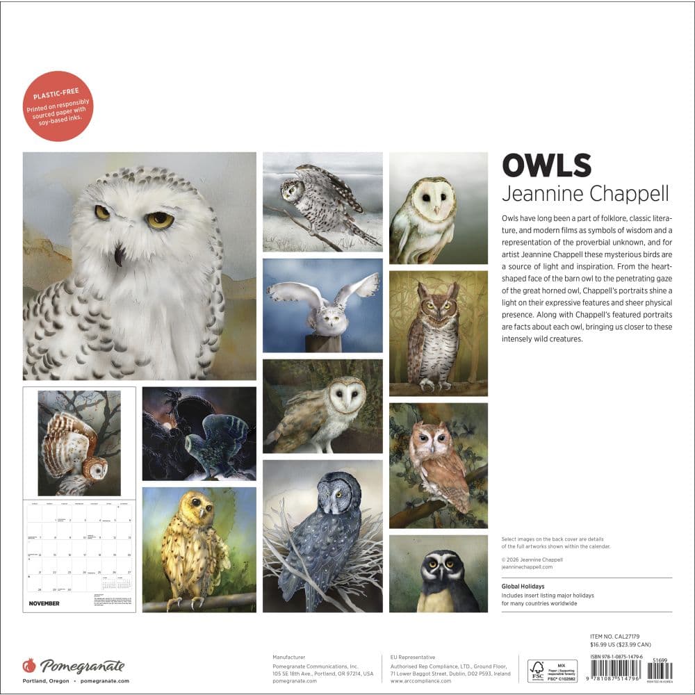 Owls 2027 Wall Calendar by Jeannine Chappel First Alternate Image