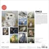 image Owls 2027 Wall Calendar by Jeannine Chappel First Alternate Image