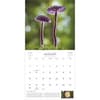 image Fantastic Fungi 2026 Wall Calendar Fourth Alternate Image
