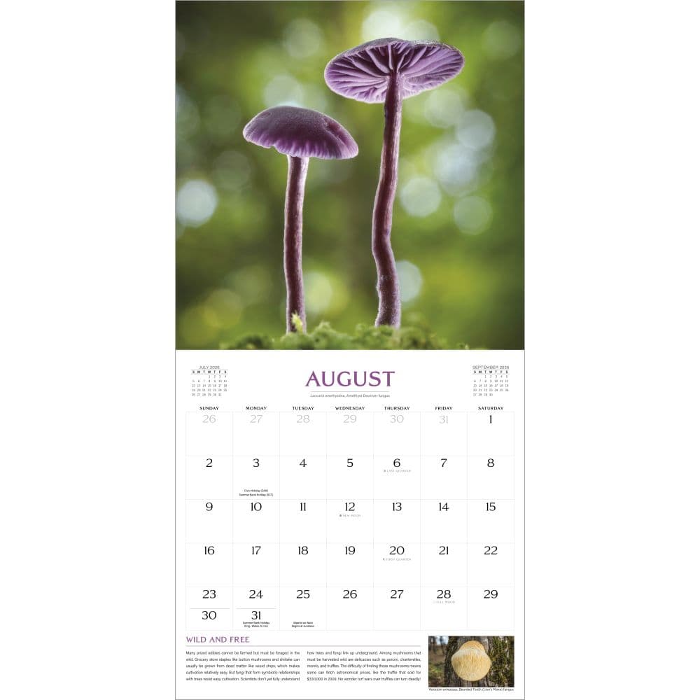 Fantastic Fungi 2026 Wall Calendar Fourth Alternate Image