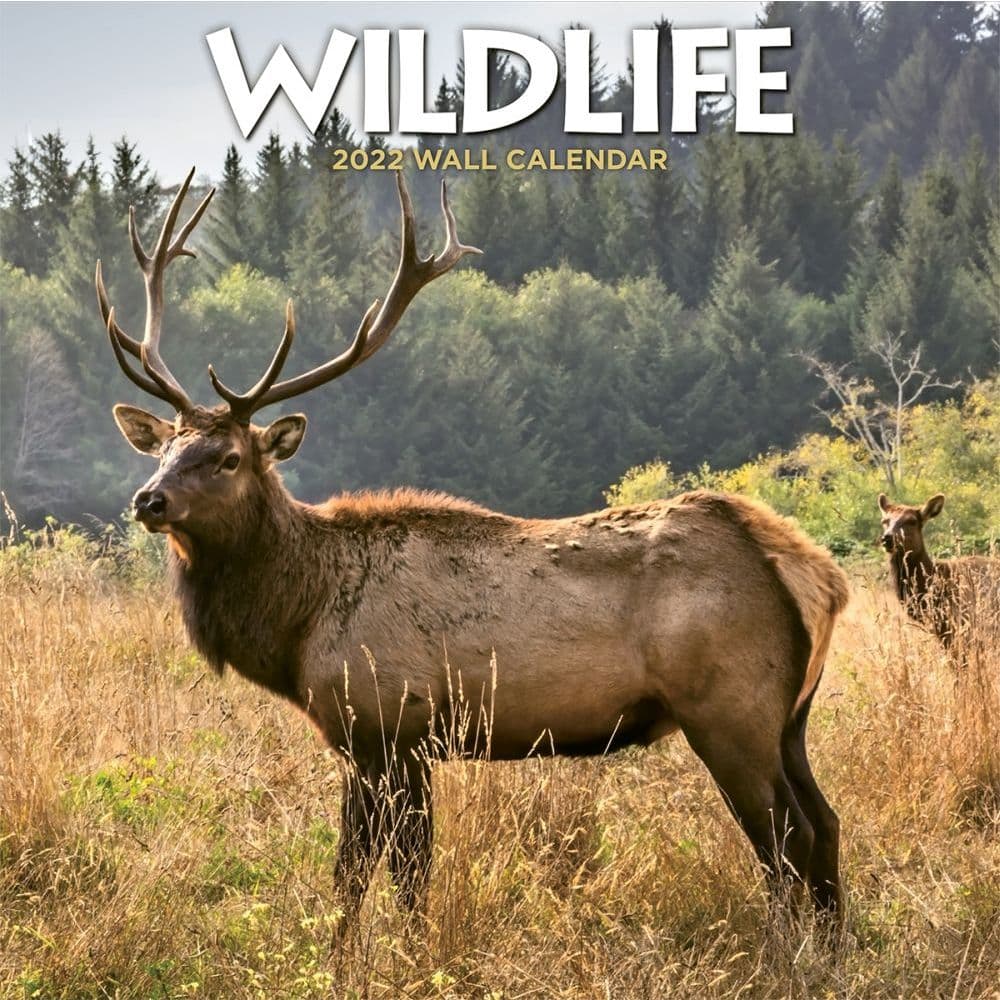 Wildlife 2022 Wall Calendar SV