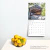 image New England Majesty 2025 Wall Calendar