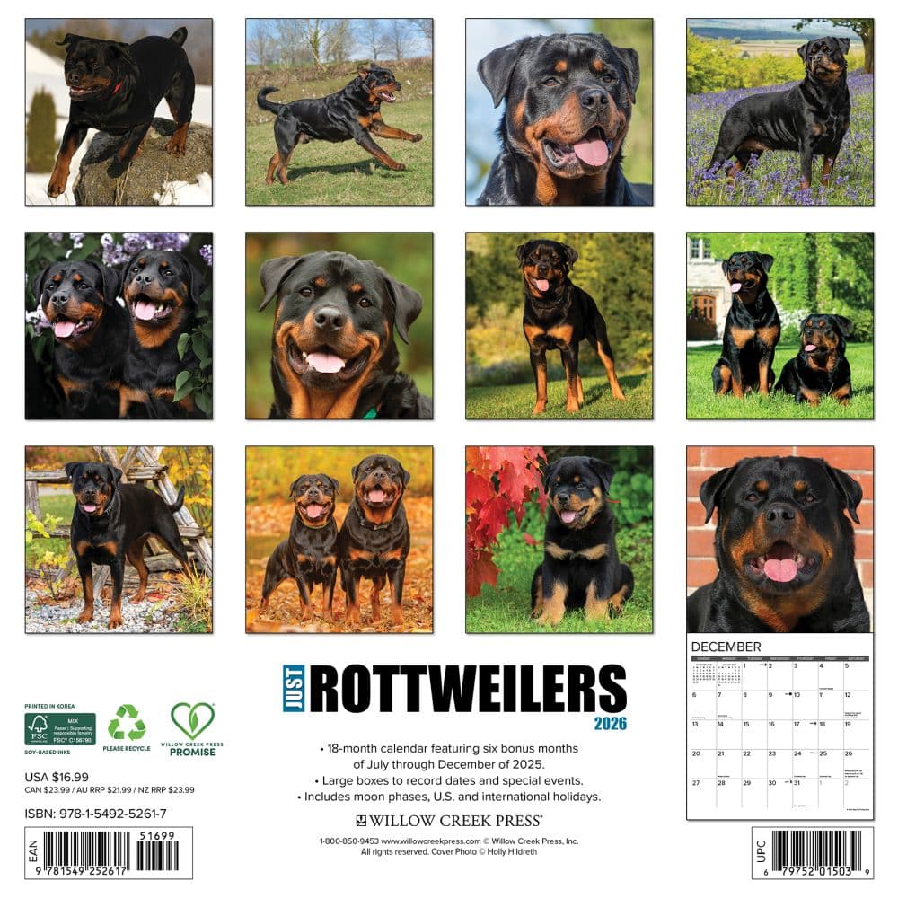 Just Rottweilers 2026 Wall Calendar First Alternate Image