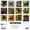 image Just Rottweilers 2026 Wall Calendar First Alternate Image