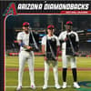 image MLB Arizona Diamondbacks 2027 Wall Calendar Main Product Image