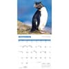 image Penguins 2026 Wall Calendar Fourth Alternate Image