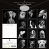 image Dog Portraits 2025 Wall Calendar First Alternate Image width=&quot;1000&quot; height=&quot;1000&quot;