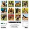 image Just German Shepherds 2025 Wall Calendar First Alternate Image width=&quot;1000&quot; height=&quot;1000&quot;