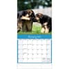 image Playful Puppies 2024 Wall Calendar Second Alternate  Image width=&quot;1000&quot; height=&quot;1000&quot;