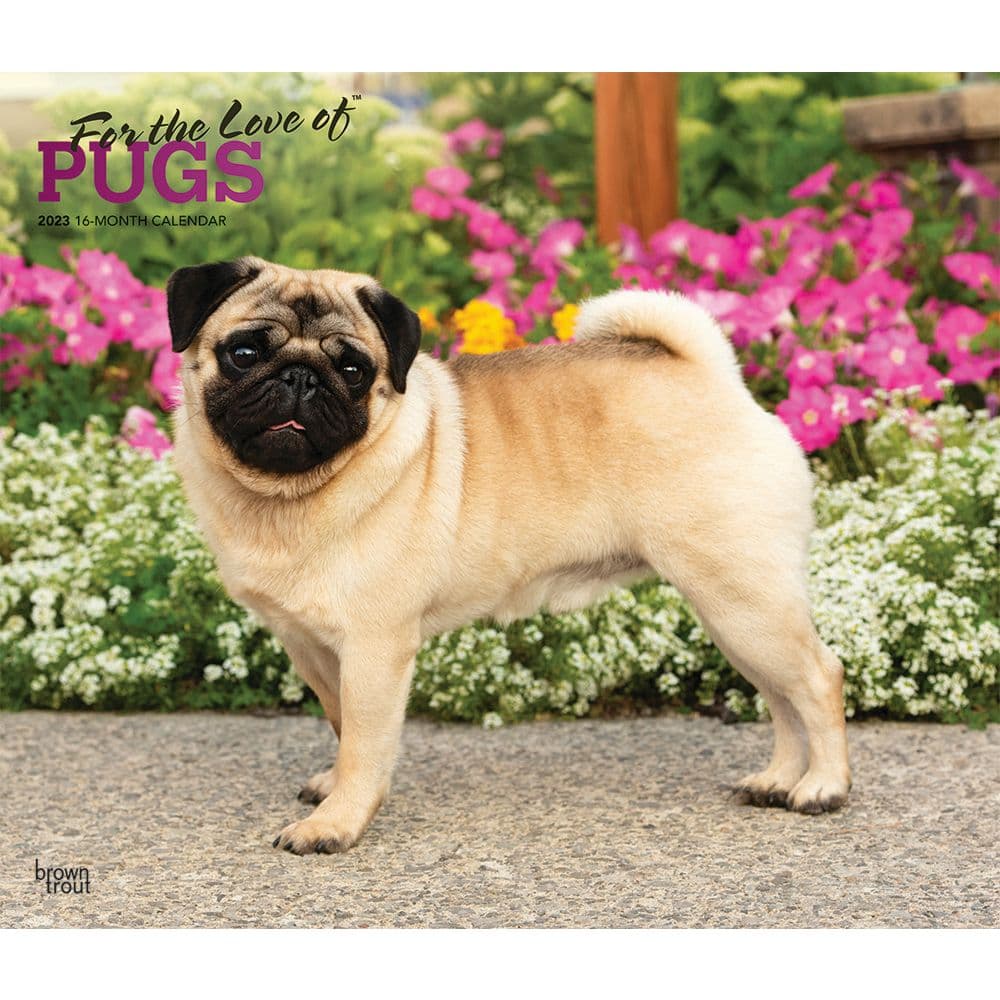BrownTrout Pugs For the Love of 2023 Deluxe Wall Calendar