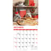 image Hedgehogs 2025 Wall Calendar Alt4