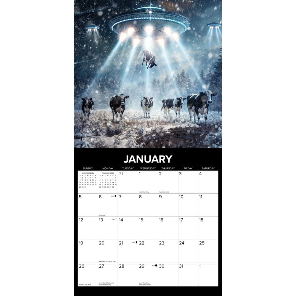 Cow Abductions 2025 Wall Calendar Alt2