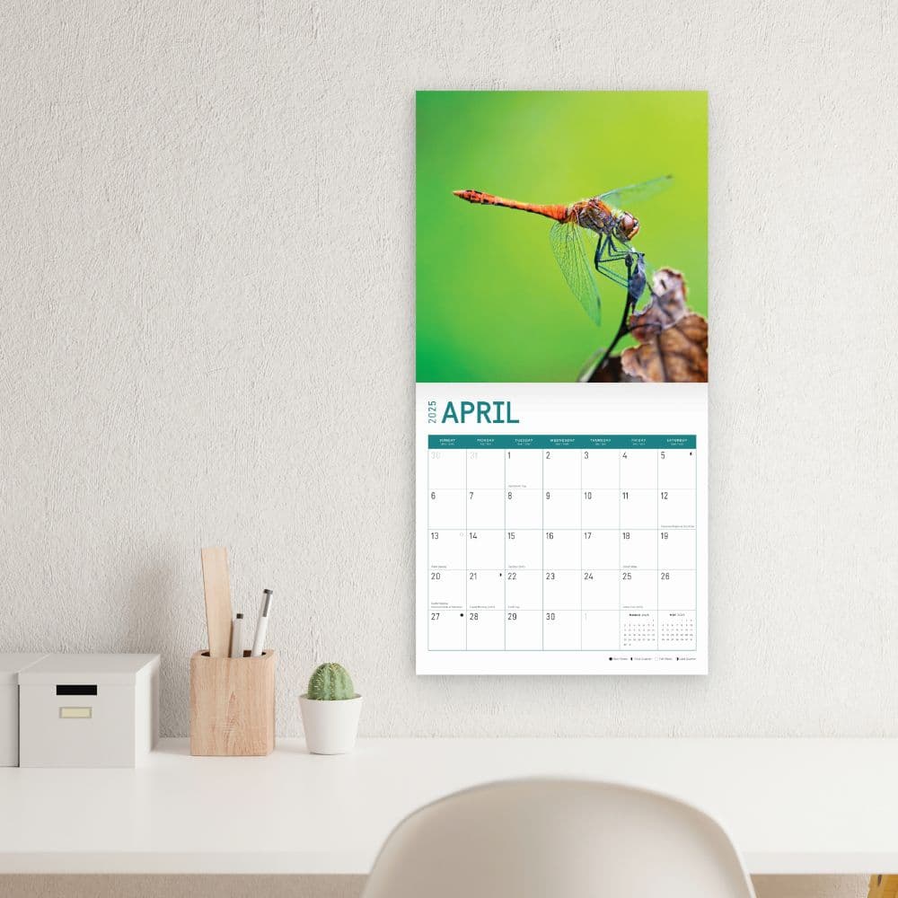 Dragonflies 2025 Wall Calendar Third Alternate Image width="1000" height="1000"