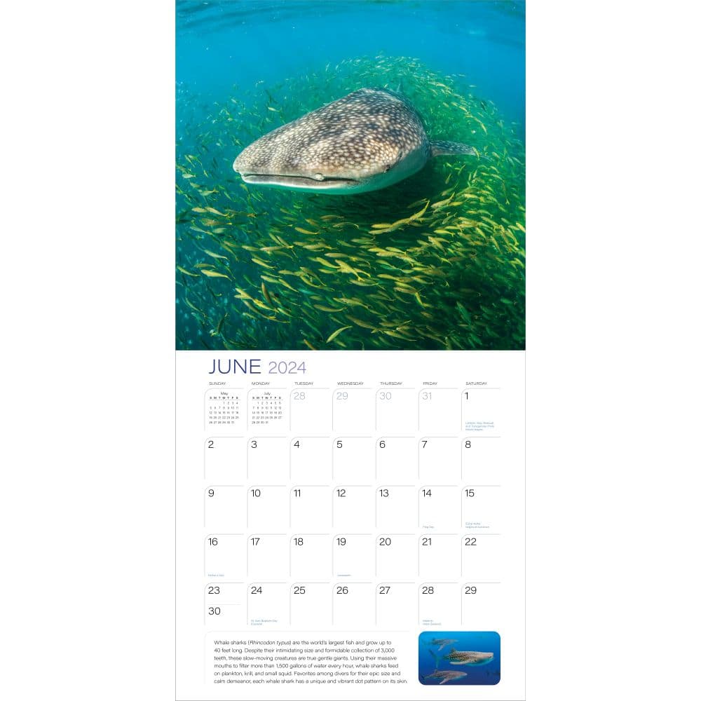 Ocean Unseen 2024 Wall Calendar Alternate Image 2