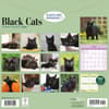 image Black Cats 2026 Wall Calendar First Alternate Image
