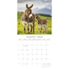 image Donkeys 2026 Wall Calendar Third Alternate Image