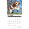 image Just Cavalier King Charles Puppies 2025 Wall Calendar