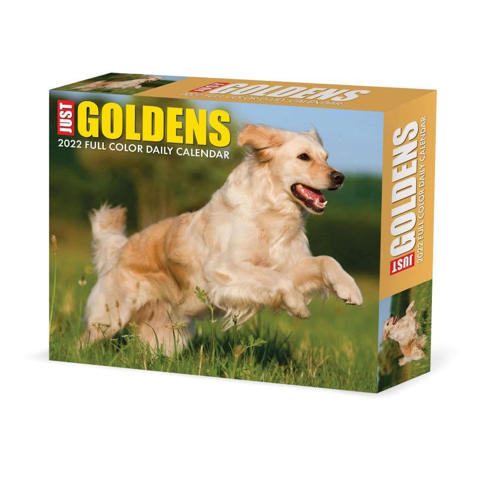 Just Goldens 2022 Desk Calendar