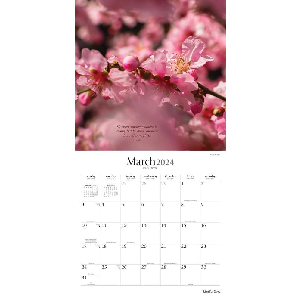 Mindful days 2024 wall calendar calendars
