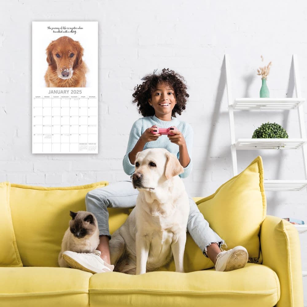 Adorable Dogs 2025 Wall Calendar