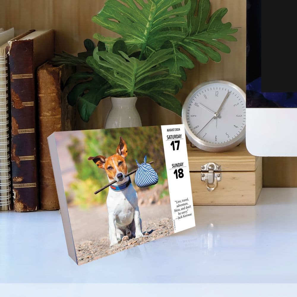 What Dogs Teach Us 2024 Desk Calendar