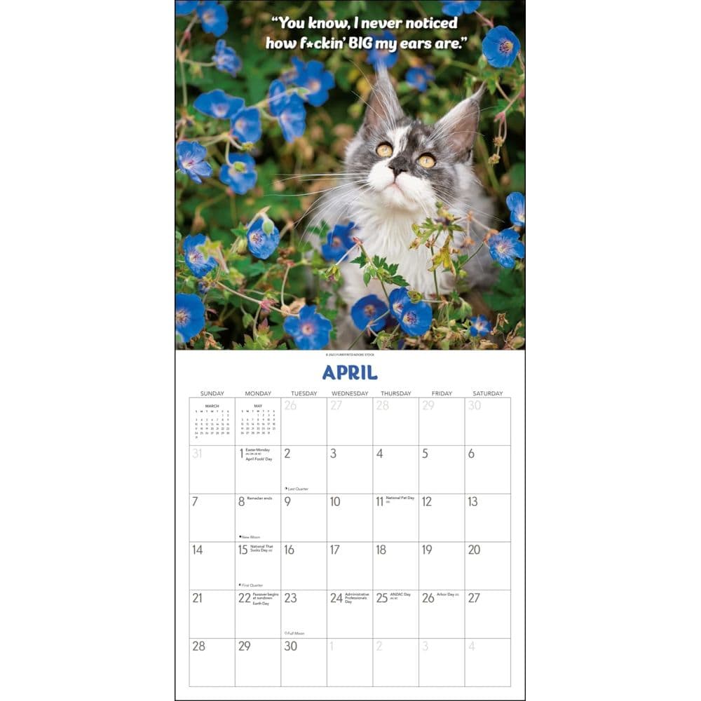 What the F*ck Kitty? 2024 Wall Calendar Second Alternate Image width=&quot;1000&quot; height=&quot;1000&quot;
