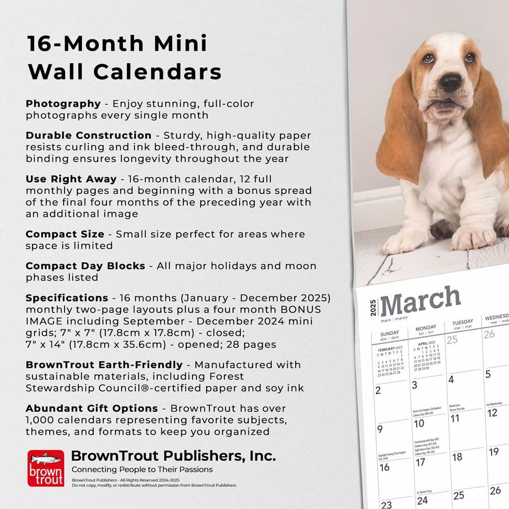 Basset Hound 2025 Mini Wall Calendar Fifth Alternate Image width=&quot;1000&quot; height=&quot;1000&quot;