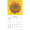 image Symmetry Brush Dance 2025 Wall Calendar