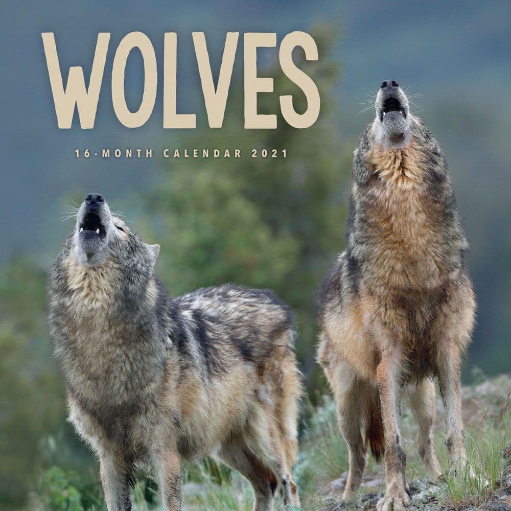 Wolves Wall Calendar