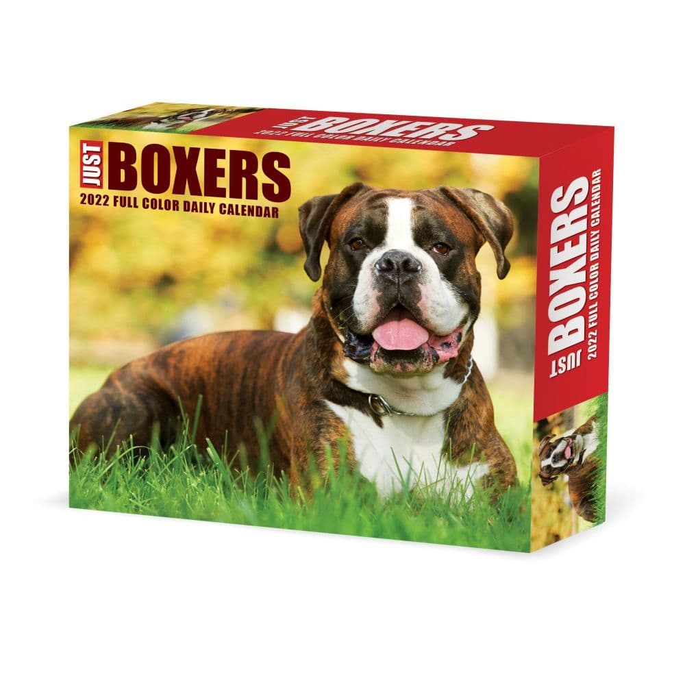Just Boxers 2022 Desk Calendar