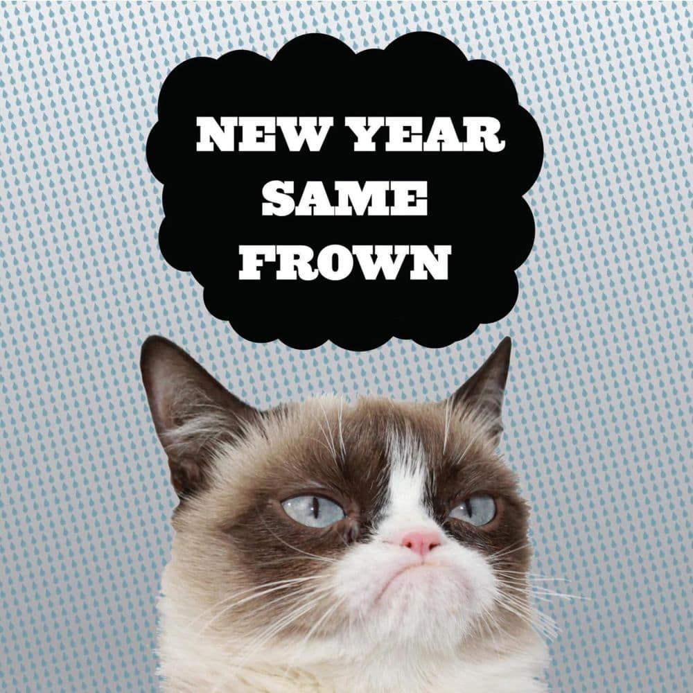Grumpy Cat 2027 Wall Calendar Second Alternate Image