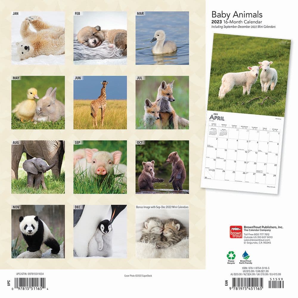 Baby Animal 2023 Mini - Calendars.com