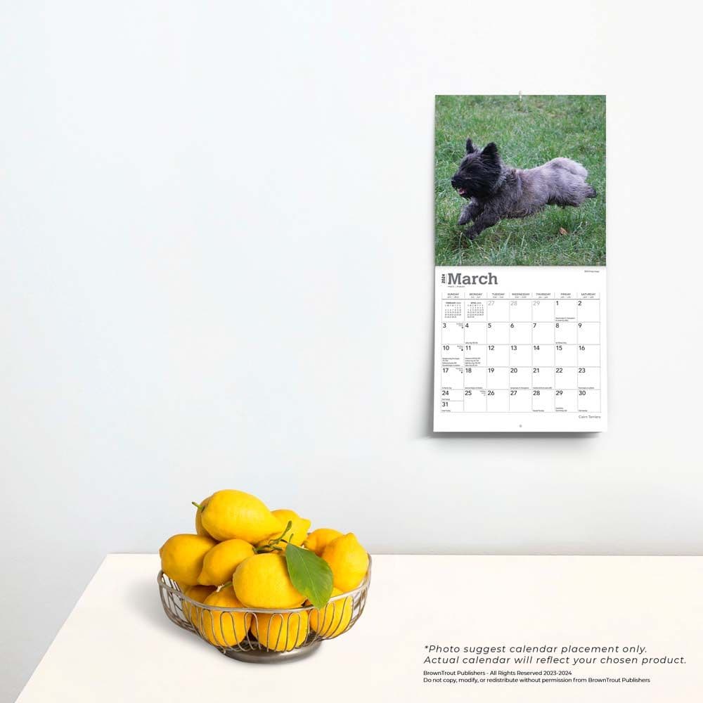 Cairn Terriers 2024 Mini Wall Calendar