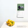 image Cairn Terriers 2024 Mini Wall Calendar Third Alternate Image width=&quot;1000&quot; height=&quot;1000&quot;