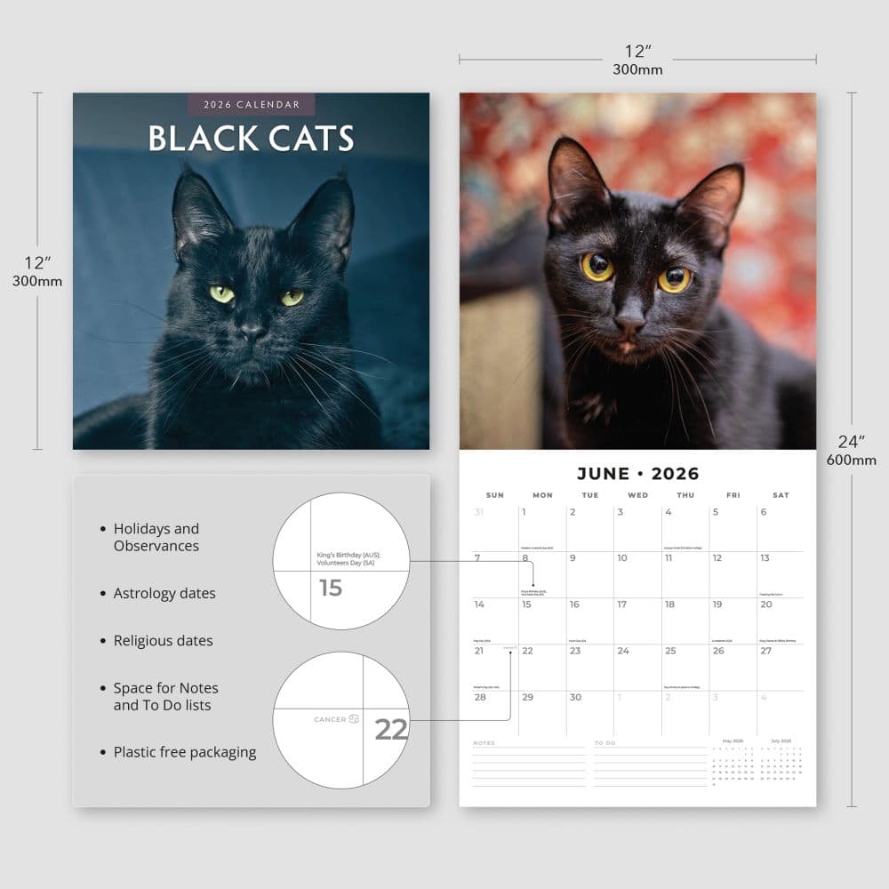 Black Cats 2026 Wall Calendar Fourth Alternate Image