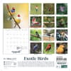 image Exotic Birds 2027 Wall Calendar First Alternate Image