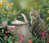 image Cats in the Country 2024 Desktop Wallpaper