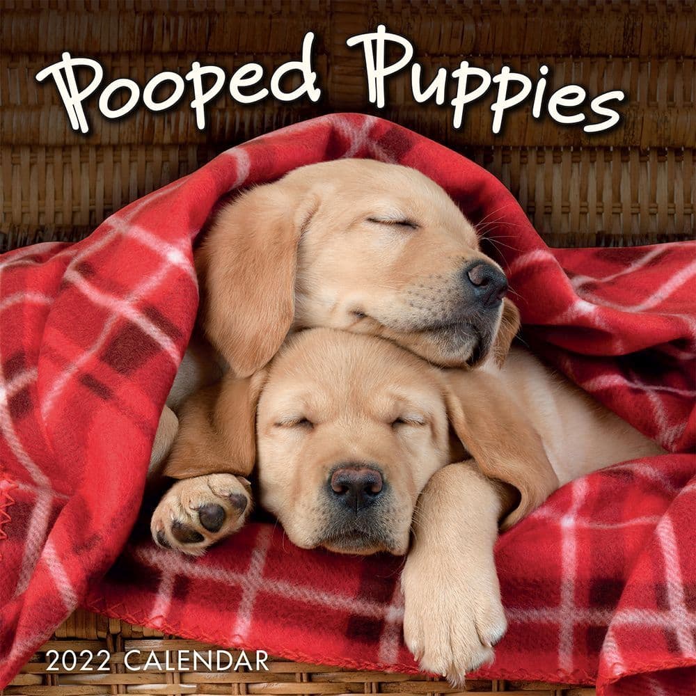 Pooped Puppies 2022 Mini Wall Calendar