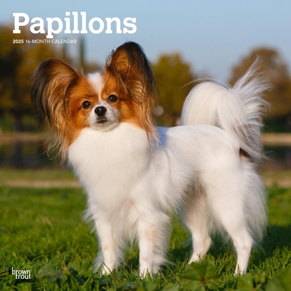 Papillons 2025 Wall Calendar