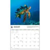 image Sea Turtles WWF 2025 Wall Calendar Second Alternate Image width=&quot;1000&quot; height=&quot;1000&quot;
